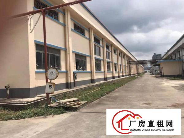  大岭山镇新出花园式厂房总面积86460平方，500起分租
