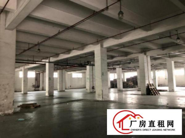  大岭山镇新出花园式厂房总面积86460平方，500起分租