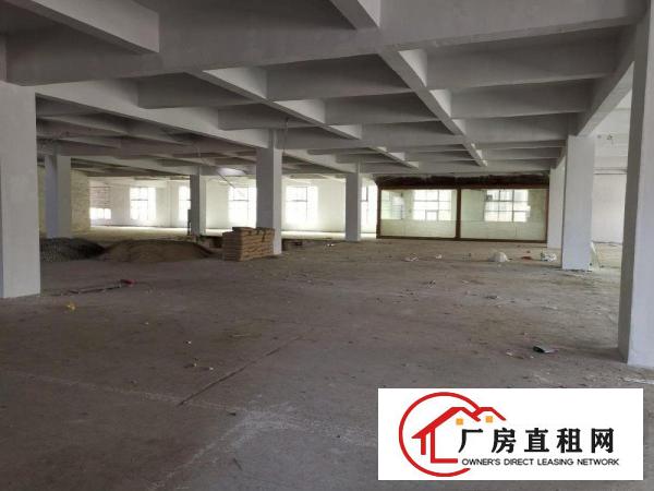  大岭山镇一手房东独门独院带装修厂房4690平方，可办环评