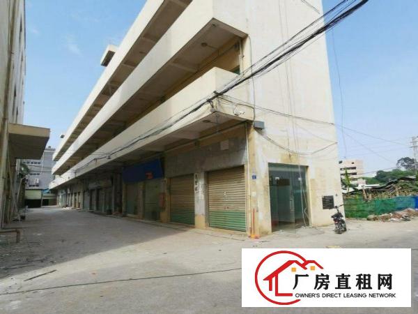  大岭山镇中心区域工业厂房总面积14390平！大小可分租！