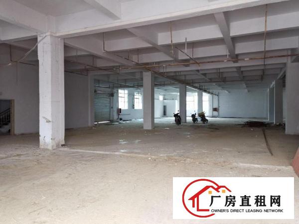  大岭山镇中心区域工业厂房总面积14390平！大小可分租！