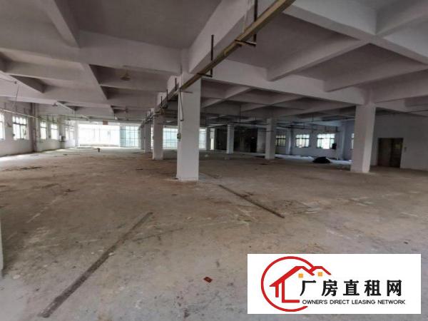  大岭山镇中心区域工业厂房总面积14390平！大小可分租！