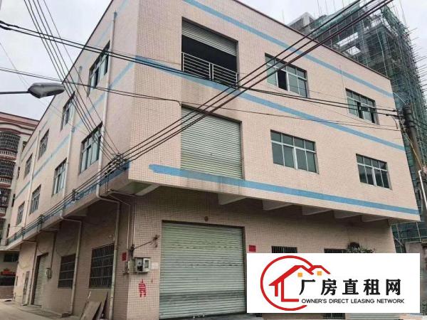  免租期两个月向东三层2500平方有货梯出租