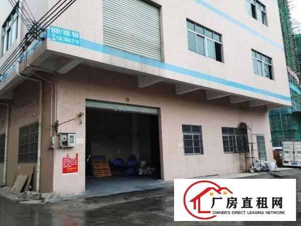  免租期两个月向东三层2500平方有货梯出租