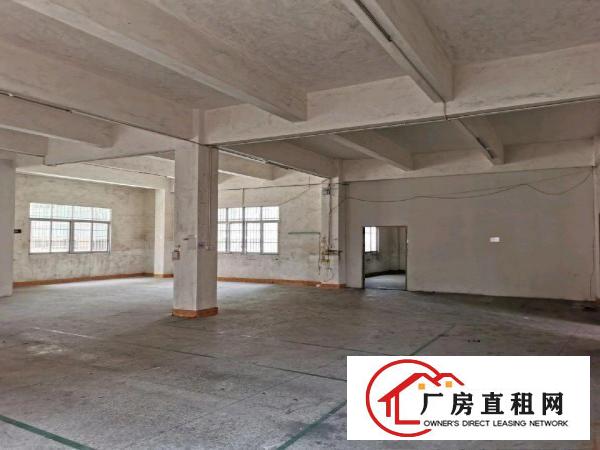  免租期两个月向东三层2500平方有货梯出租