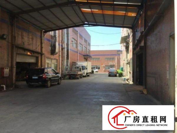  出租|大岭山连马路边新出450标准厂房招租层高7米，好进出车