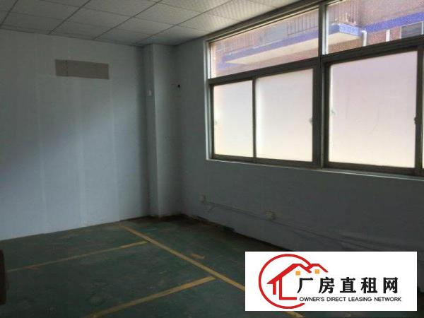  出租|大岭山连马路边新出450标准厂房招租层高7米，好进出车