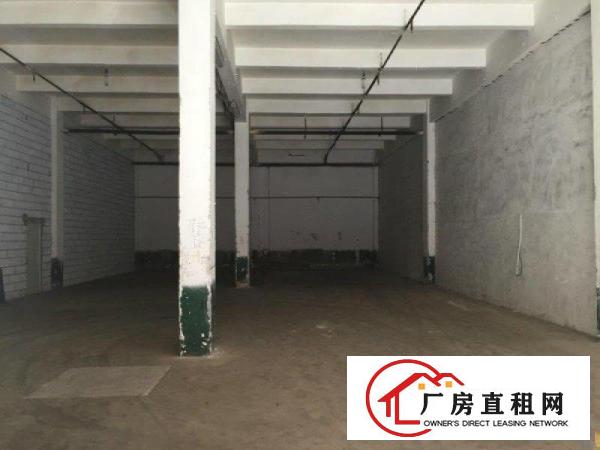  出租|大岭山连马路边新出450标准厂房招租层高7米，好进出车