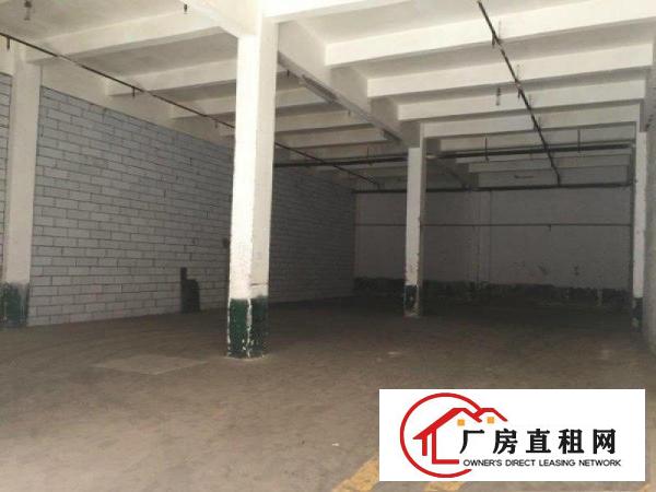  出租|大岭山连马路边新出450标准厂房招租层高7米，好进出车