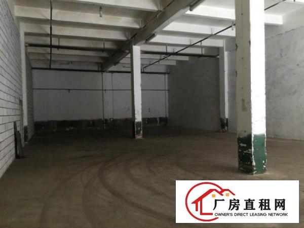  出租|大岭山连马路边新出450标准厂房招租层高7米，好进出车