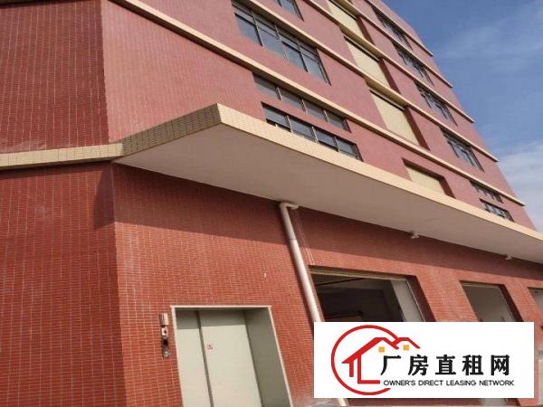  原房东免中介费！大岭山花园式新出2880厂房出租，交通方便！