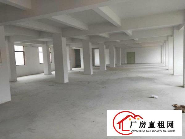  大岭全新原房东独栋2层700平方厂房出租无公摊无杂费