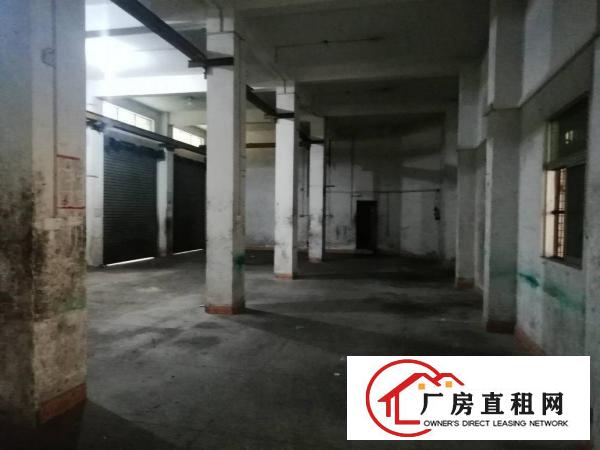  大岭山107国道附近一楼300平原房东厂房出租带行车