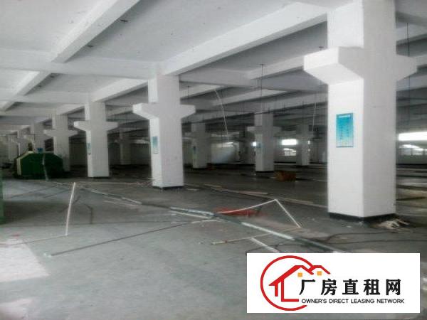  形象好靓装修大岭山镇新出独门独院2500平