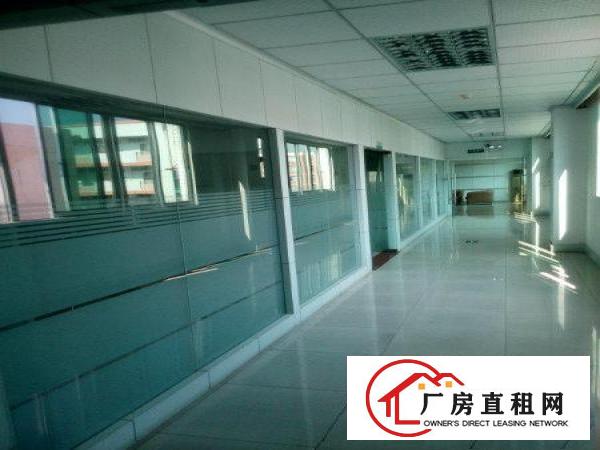  形象好靓装修大岭山镇新出独门独院2500平