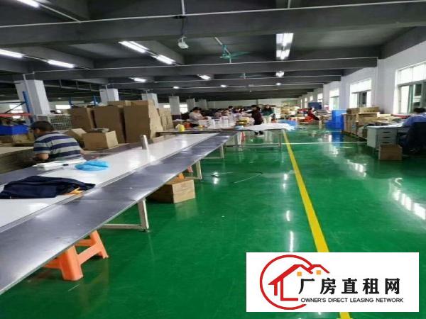  杨屋新出原房东标准厂房2楼900平方厂房出租带全新地坪漆