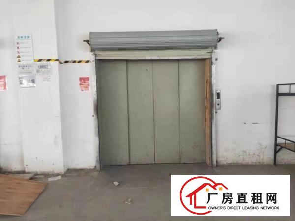  大岭山金桔新出工业园标准3楼1500平厂房招租带豪华装修