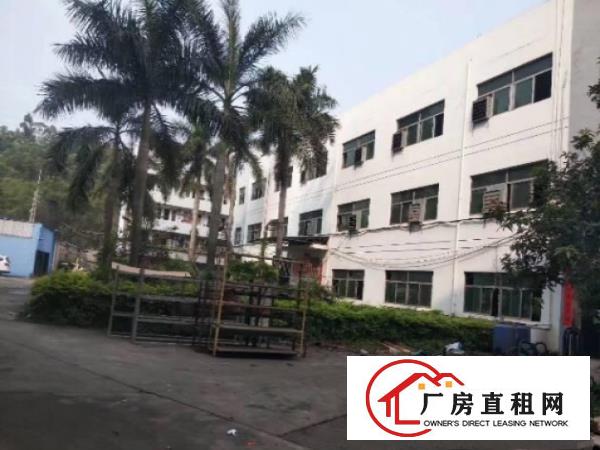  免押金大岭山镇工业区出租二楼500平厂房有办公室可分租