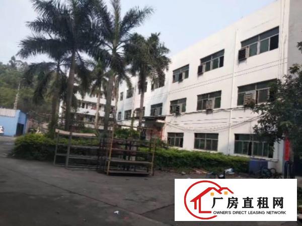  免押金大岭山镇工业区出租二楼500平厂房有办公室可分租