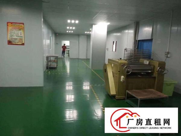  大岭山新出无尘车间随时拎包入住标准厂房1000平出租12元