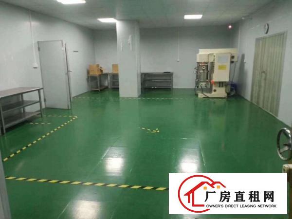  大岭山新出无尘车间随时拎包入住标准厂房1000平出租12元