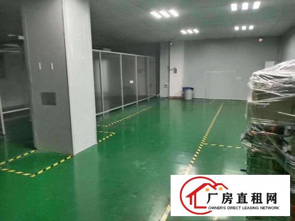  大岭山新出无尘车间随时拎包入住标准厂房1000平出租12元