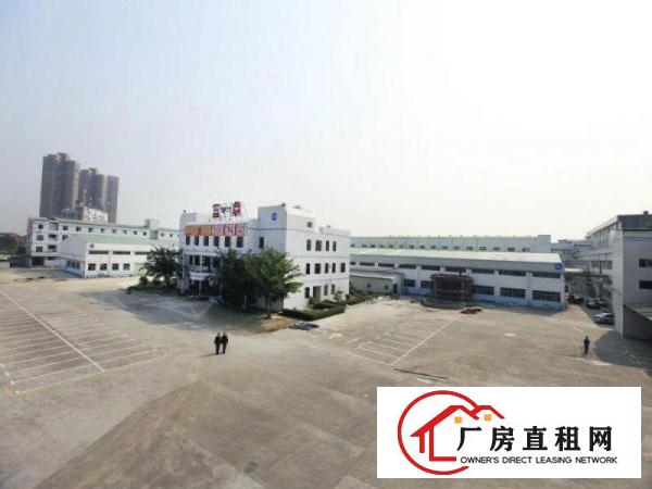  业主直租，大岭山杨屋村杨朗路1100平方一楼旧厂房便宜出租
