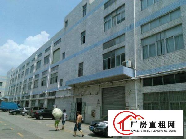  业主直租，大岭山杨屋村杨朗路1100平方一楼旧厂房便宜出租