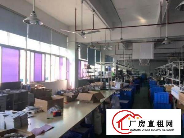  带精装修小面积厂房大岭山镇出租楼上420平厂房有办公室