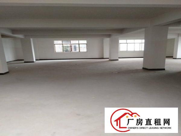  原房东全新工业厂房，水电齐全