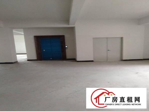  原房东全新工业厂房，水电齐全