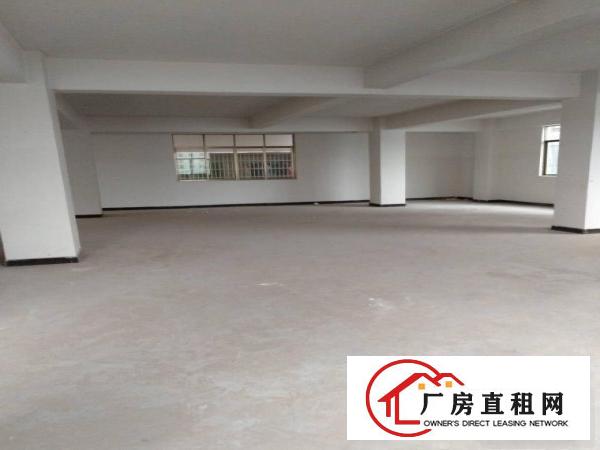  原房东全新工业厂房，水电齐全