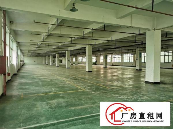  免中介费！大岭山新出楼上厂房6800平厂房出租带超大空地
