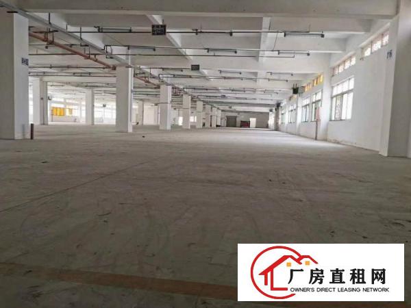  免中介费！大岭山新出楼上厂房6800平厂房出租带超大空地
