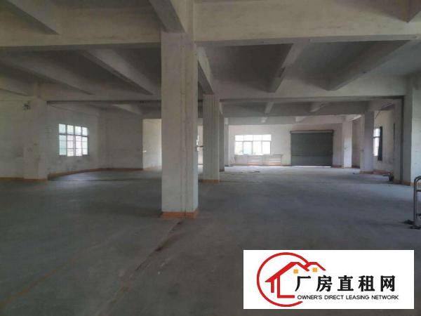  大岭山独栋，可办环评，水电齐全，标准厂房800平出租