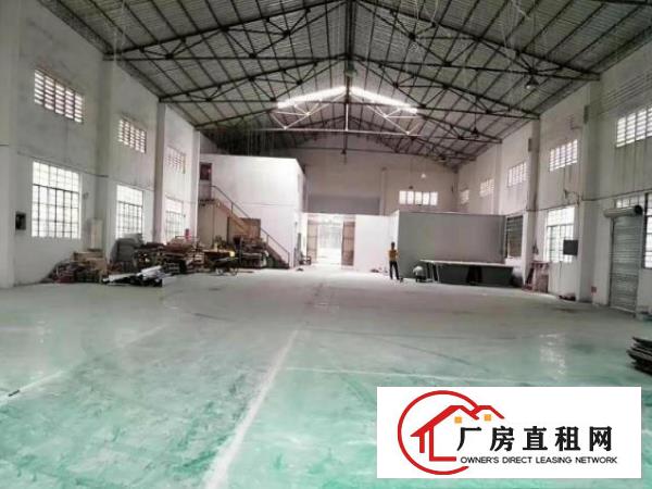 厚大路新出单一层钢构1000平厂房出租，面积实量，价格实在！