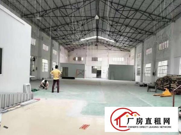  厚大路新出单一层钢构1000平厂房出租，面积实量，价格实在！
