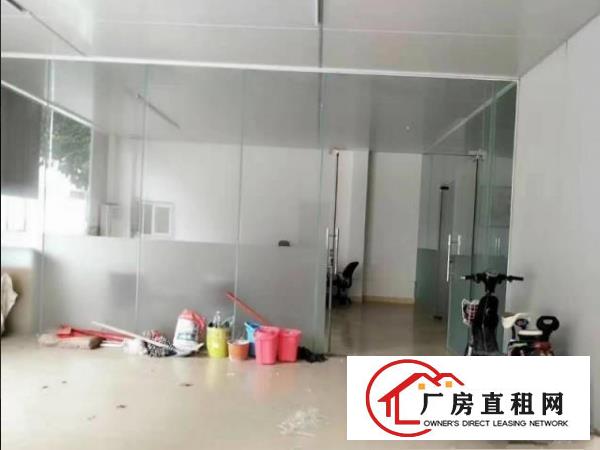  厚大路新出单一层钢构1000平厂房出租，面积实量，价格实在！