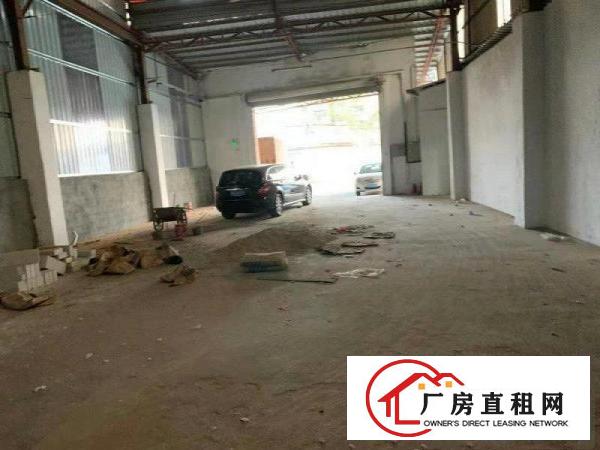  大岭山金桔新出独院2200平原房东钢构厂房招租
