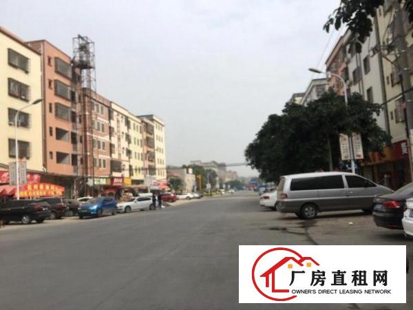  大岭山杨屋独栋工业厂房出租，大小面积可分，行业不限