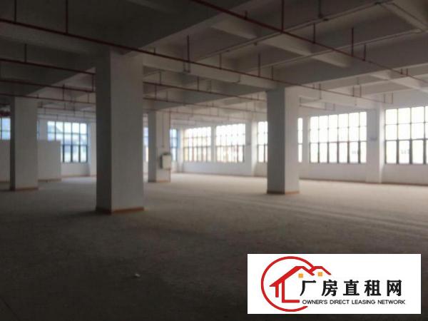  大岭山杨屋独栋工业厂房出租，大小面积可分，行业不限