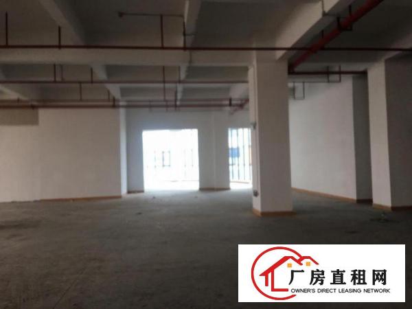  大岭山杨屋独栋工业厂房出租，大小面积可分，行业不限