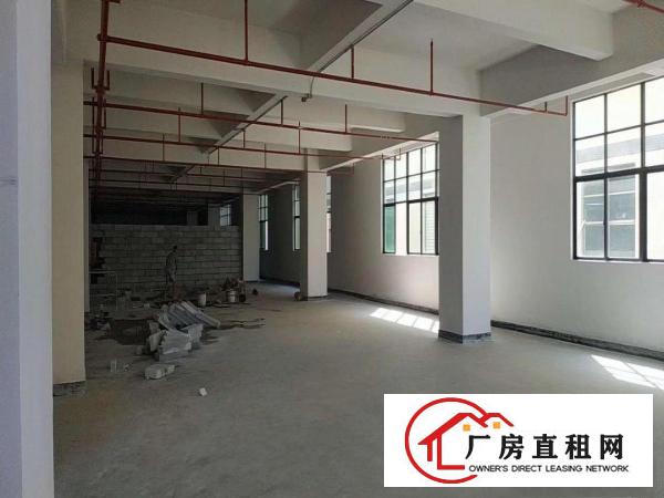  大岭山杨屋独栋工业厂房出租，大小面积可分，行业不限