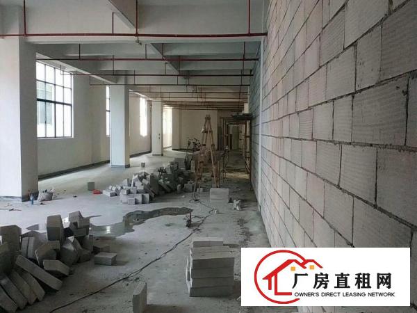  大岭山杨屋独栋工业厂房出租，大小面积可分，行业不限