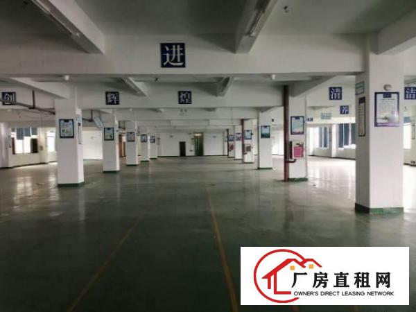  大岭山镇工业大道出租二楼带精装修800平厂房有办公室可分租