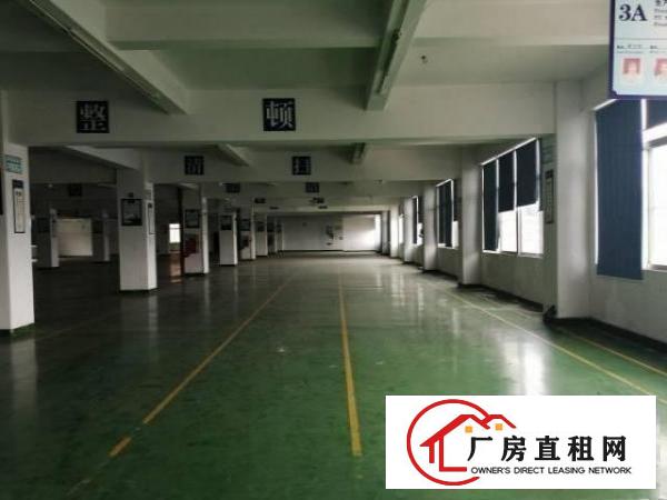  大岭山镇工业大道出租二楼带精装修800平厂房有办公室可分租