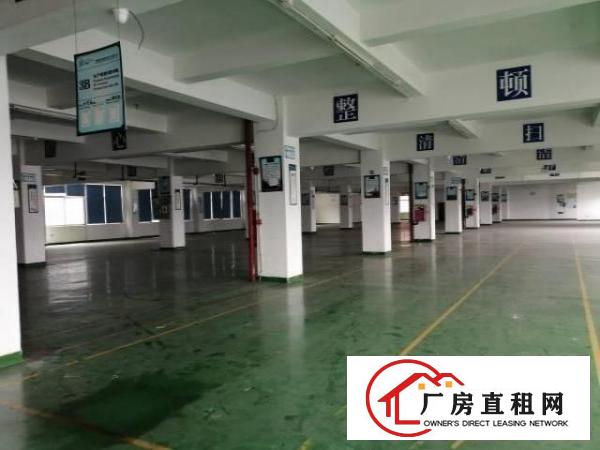  大岭山镇工业大道出租二楼带精装修800平厂房有办公室可分租