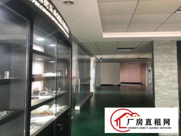  大岭山镇新出花园式独门独院5500平方带豪华装修