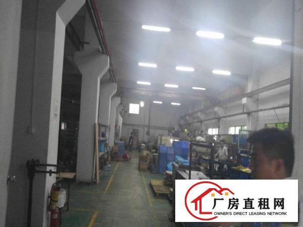  大岭山镇新出花园式独门独院5500平方带豪华装修