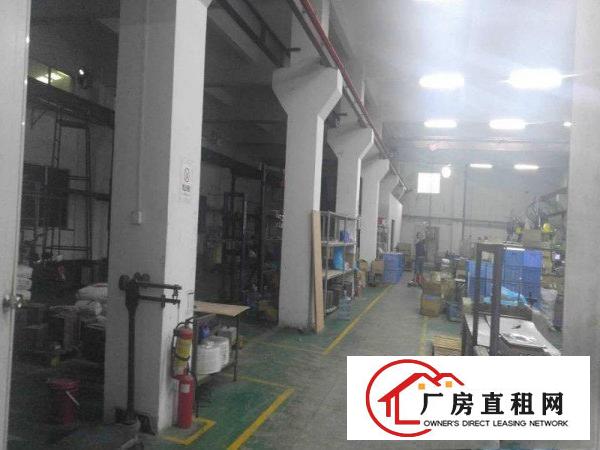  大岭山镇新出花园式独门独院5500平方带豪华装修